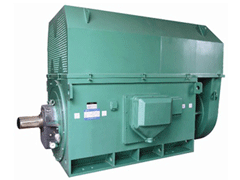 YR5003-8Y系列6KV高压电机