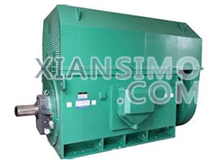 YR5003-8YXKK(2极)高效高压电机技术参数