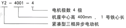 YR系列(H355-1000)高压YR5003-8三相异步电机西安西玛电机型号说明